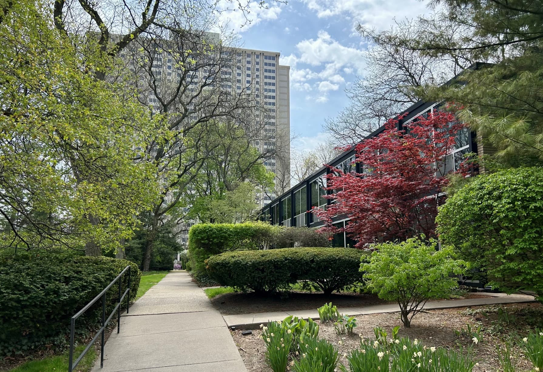 Detroit Thermal sought Black residents to speak at Lafayette Park hearing, emails in lawsuit show